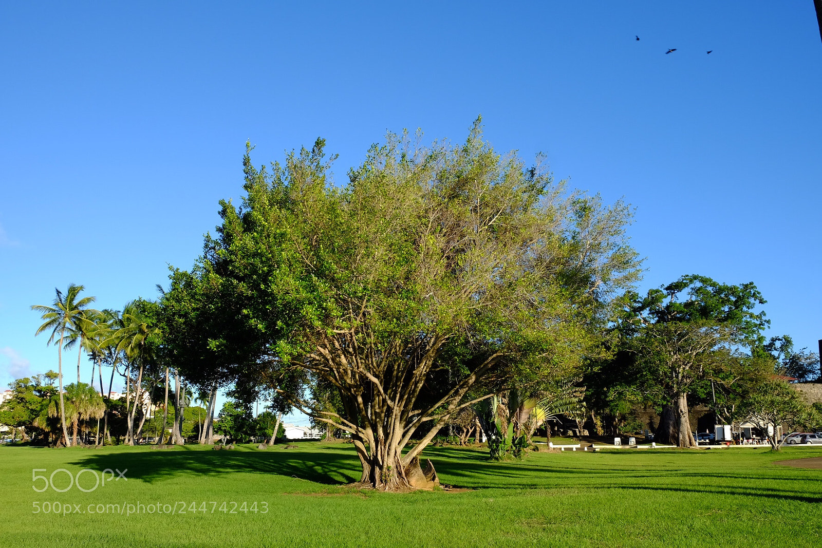 Fujifilm X-T10 sample photo. Belle nature photography