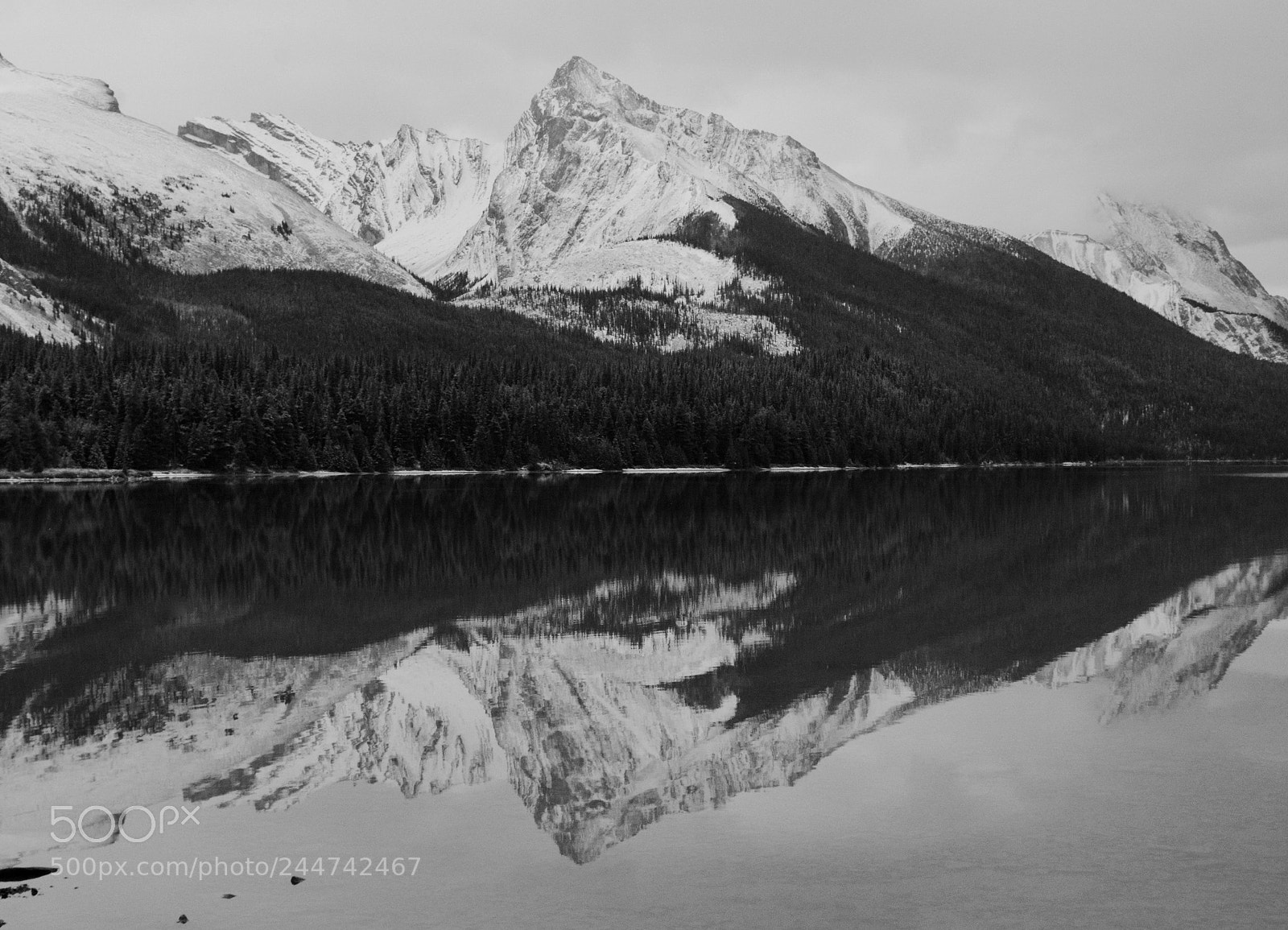 Nikon D7100 sample photo. Winter comes swiftly photography