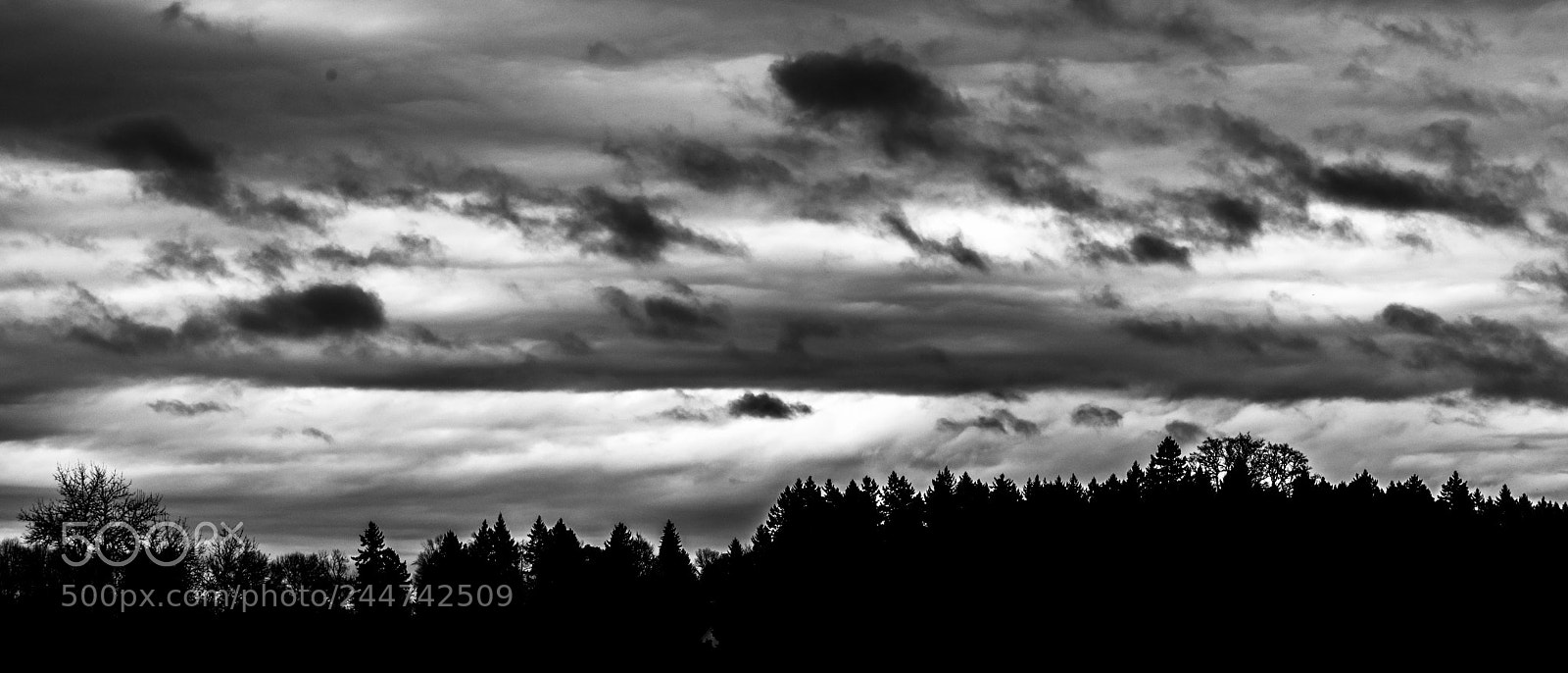 Nikon D800 sample photo. Stormy weather photography
