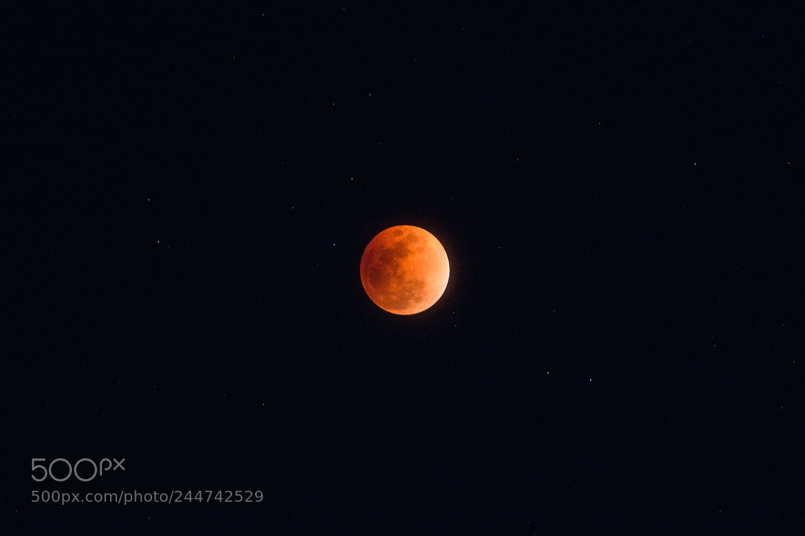 Nikon D800 sample photo. Blood moon photography