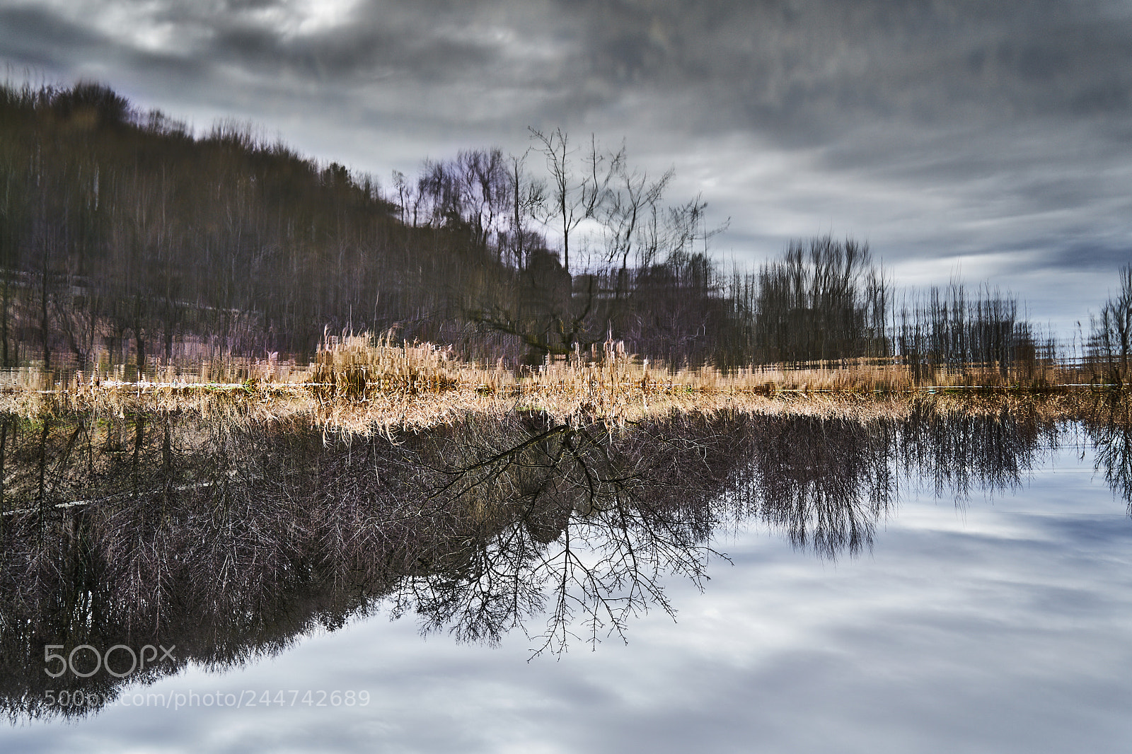 Sony a7 II sample photo. Coldmirror photography