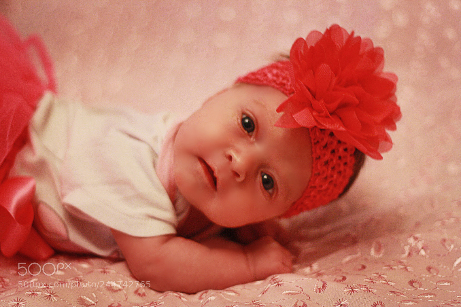 Canon EOS 1000D (EOS Digital Rebel XS / EOS Kiss F) sample photo. Baby photography