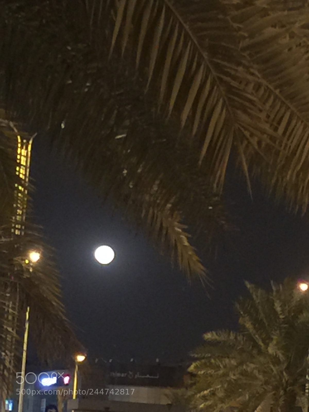 Apple iPhone 6 Plus sample photo. Untitled photography