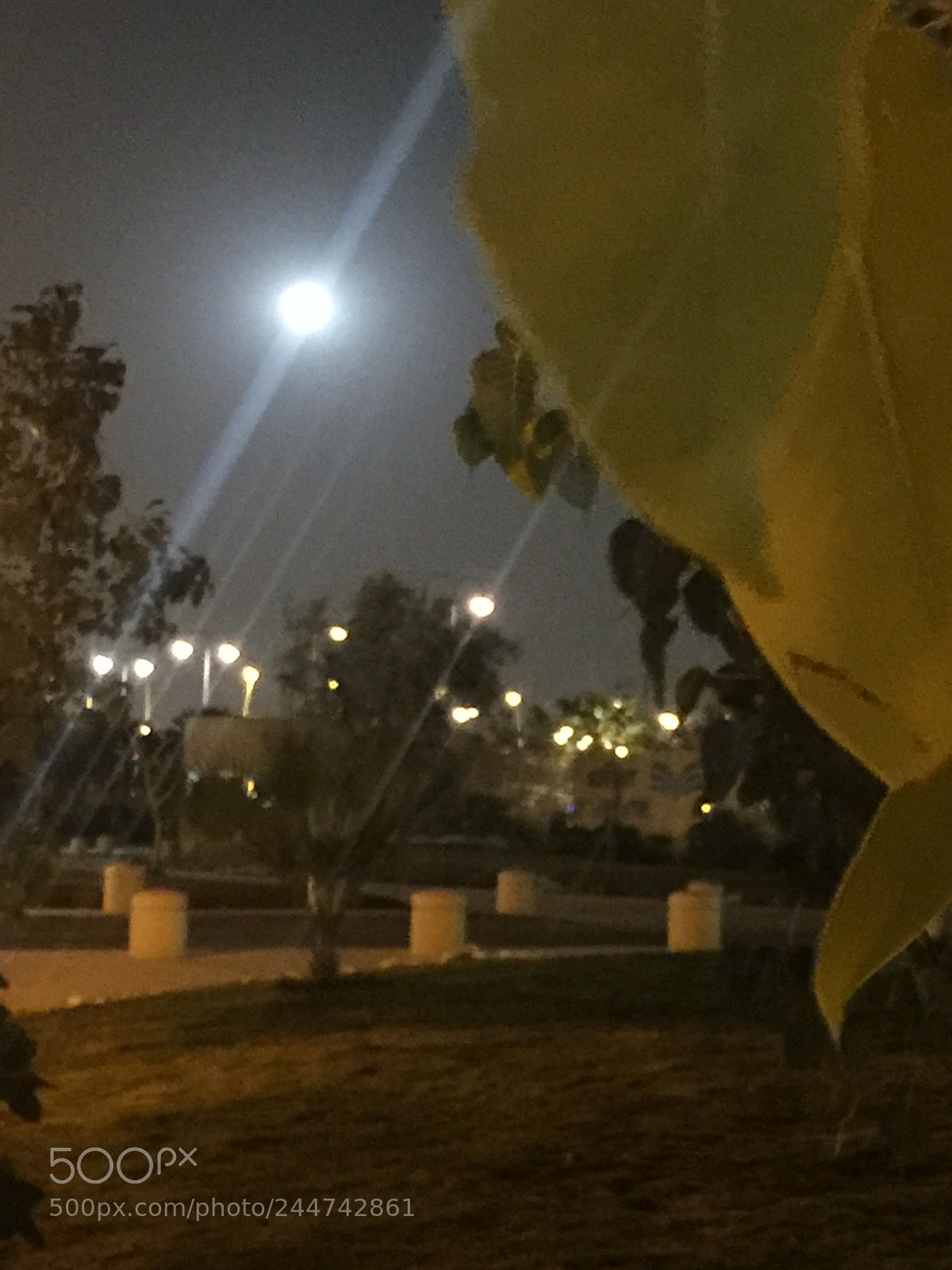 Apple iPhone 6 Plus sample photo. Untitled photography