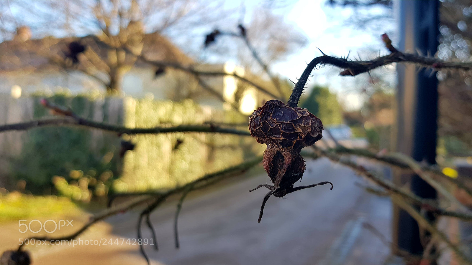 Samsung Galaxy S8 sample photo. Untitled photography