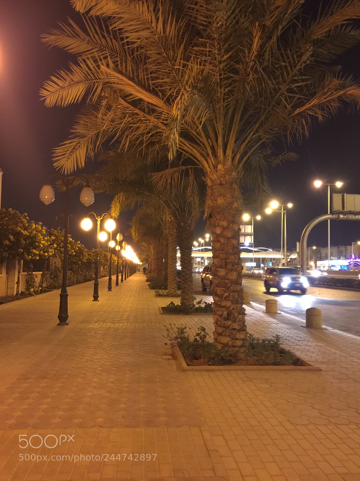 Apple iPhone 6 Plus sample photo. Untitled photography