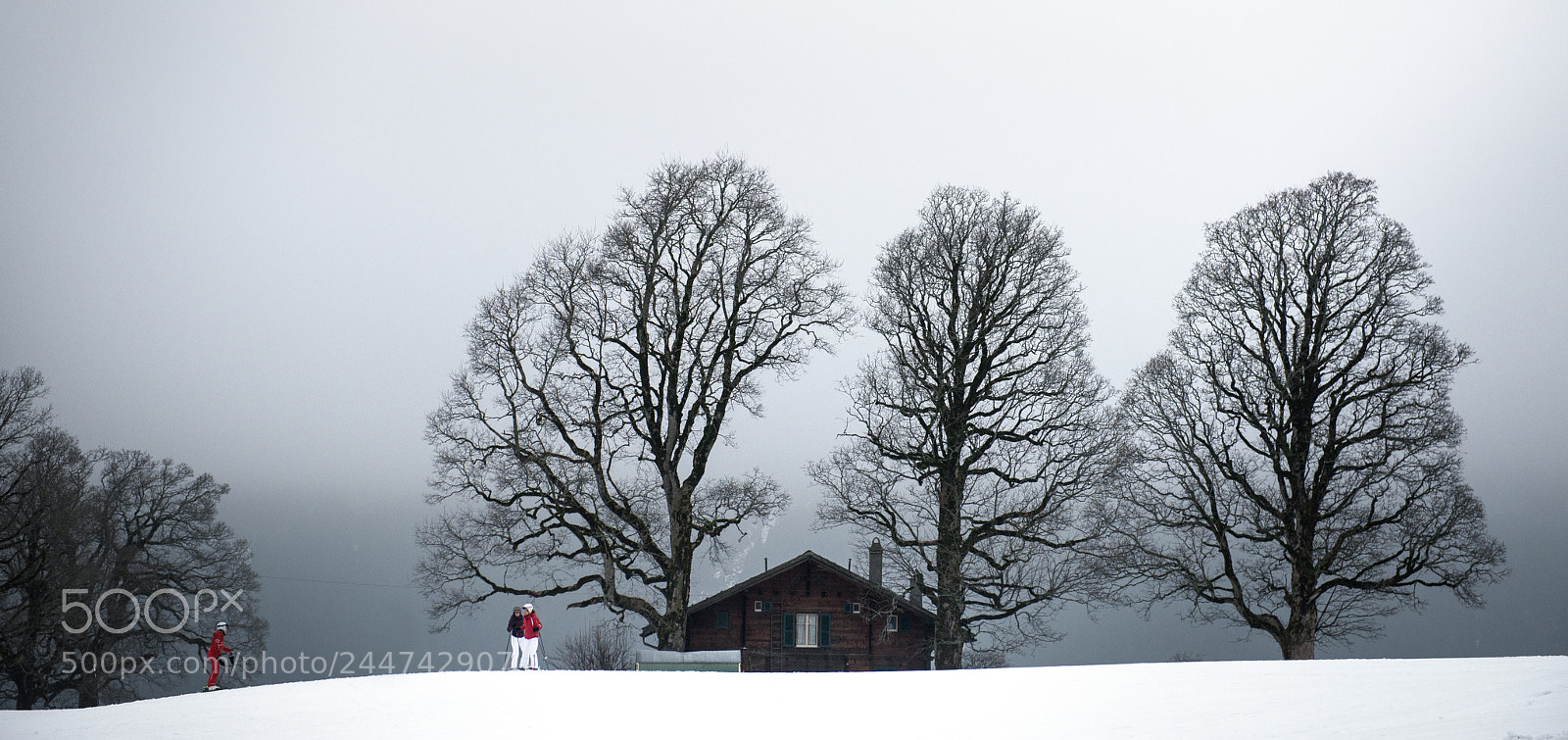 Nikon D800 sample photo. No mountain-view day photography