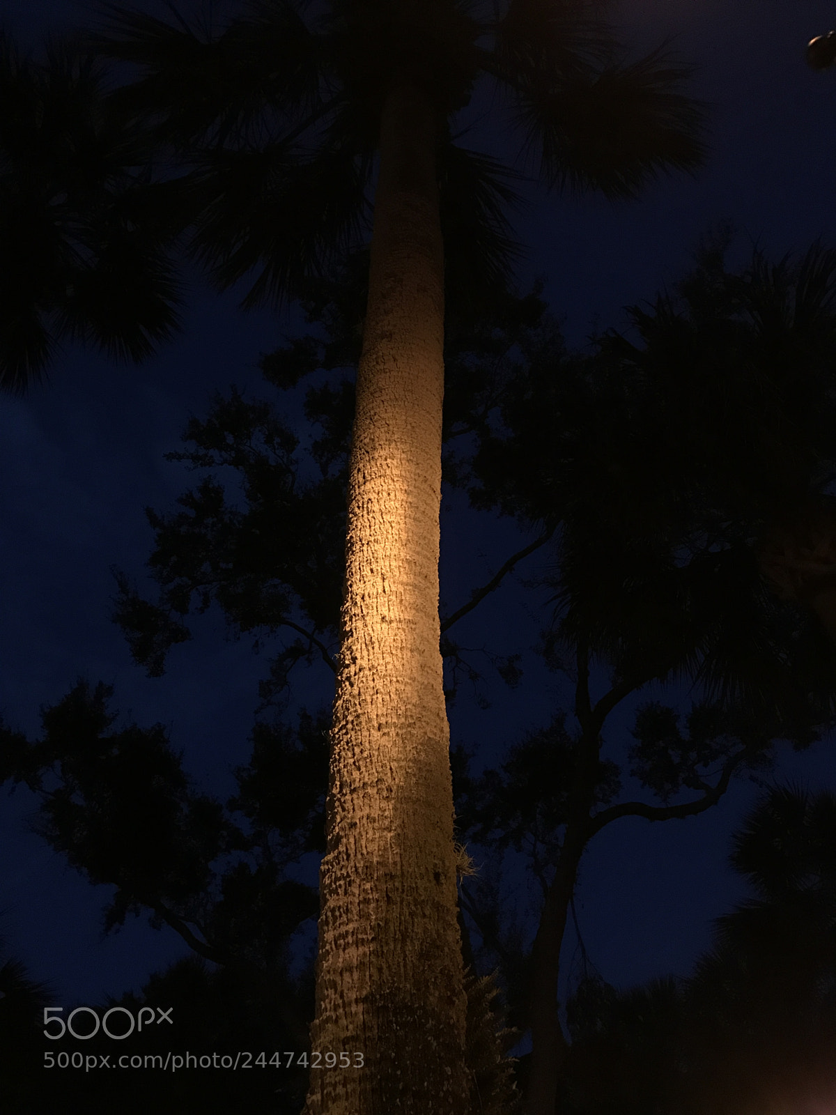 Apple iPhone 7 sample photo. Dusk photography