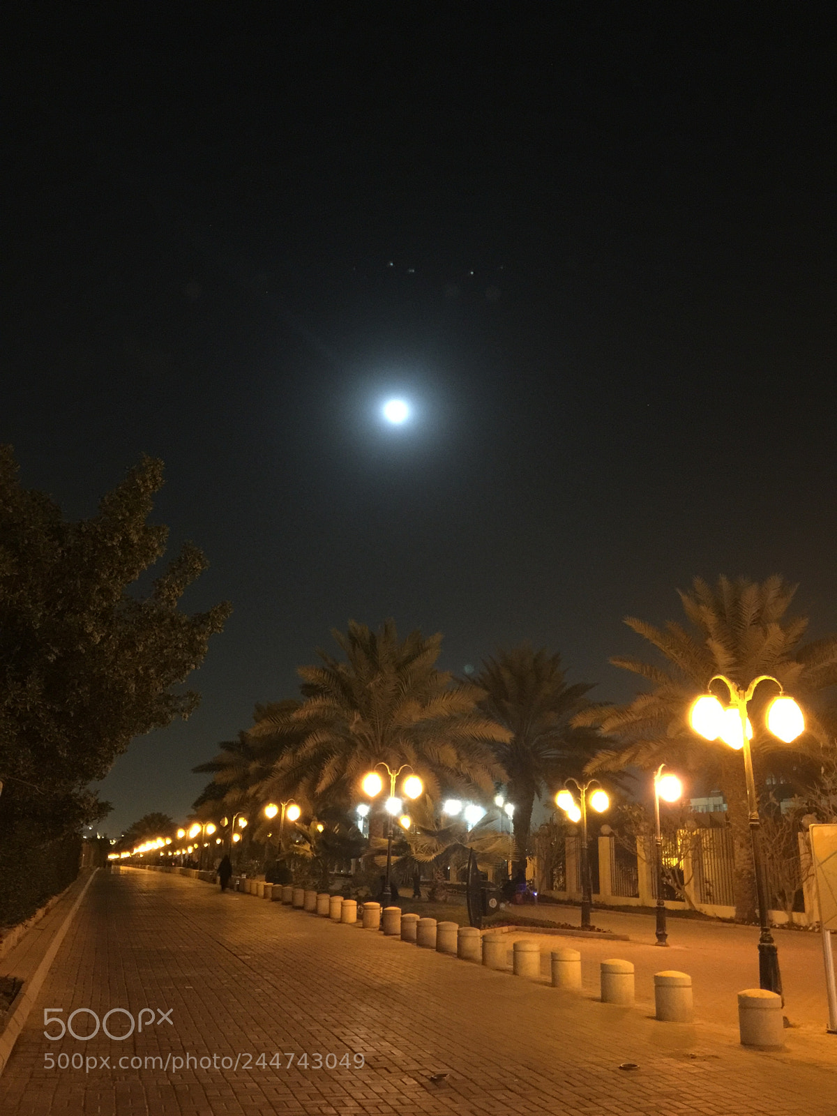 Apple iPhone 6 Plus sample photo. Untitled photography