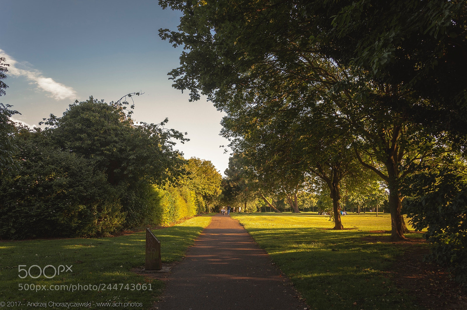 Nikon D90 sample photo. 2017 - jamestown park photography