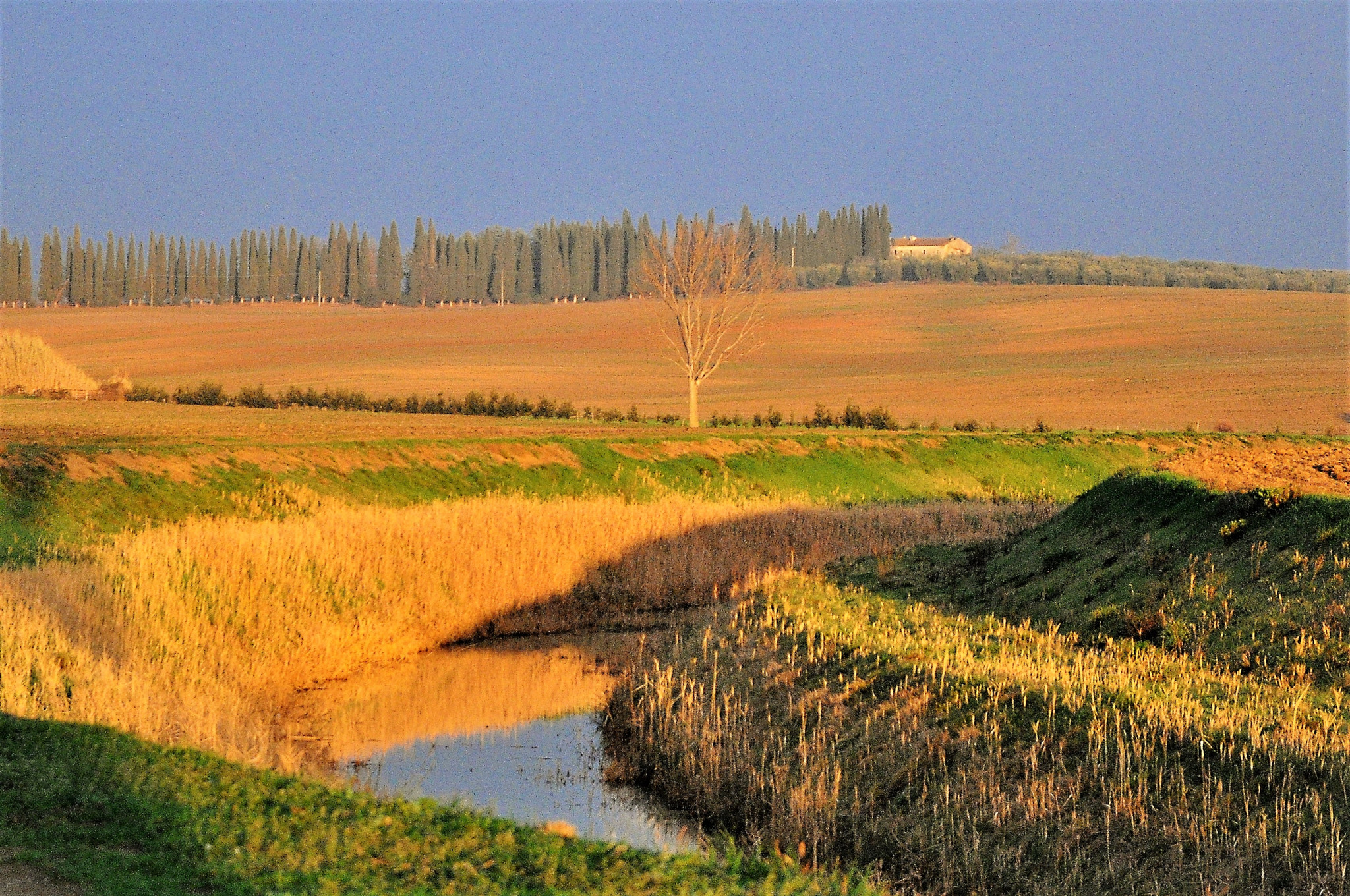 Nikon D90 sample photo. Campagna al tramonto, dopo il temporale photography