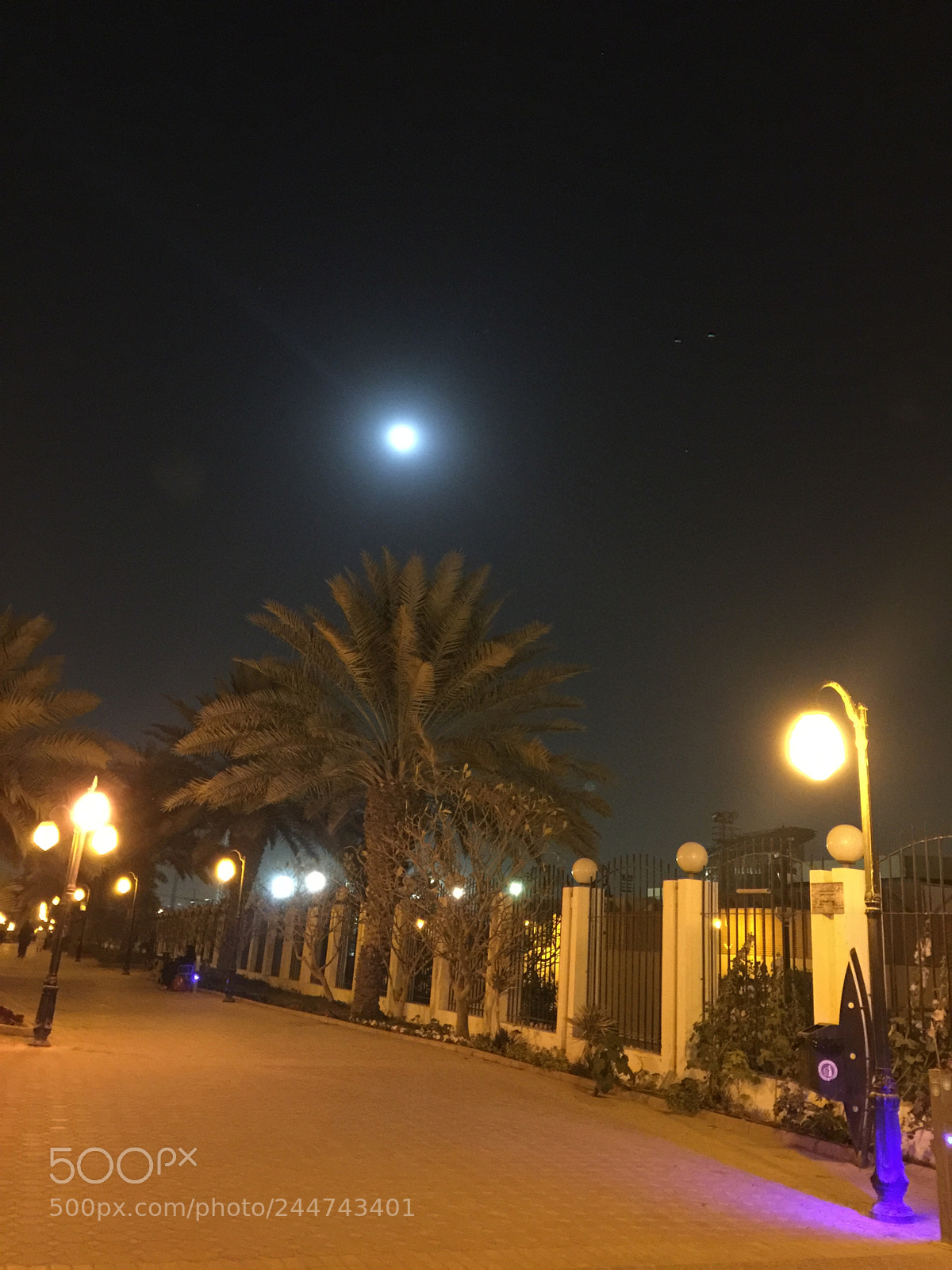 Apple iPhone 6 Plus sample photo. Untitled photography