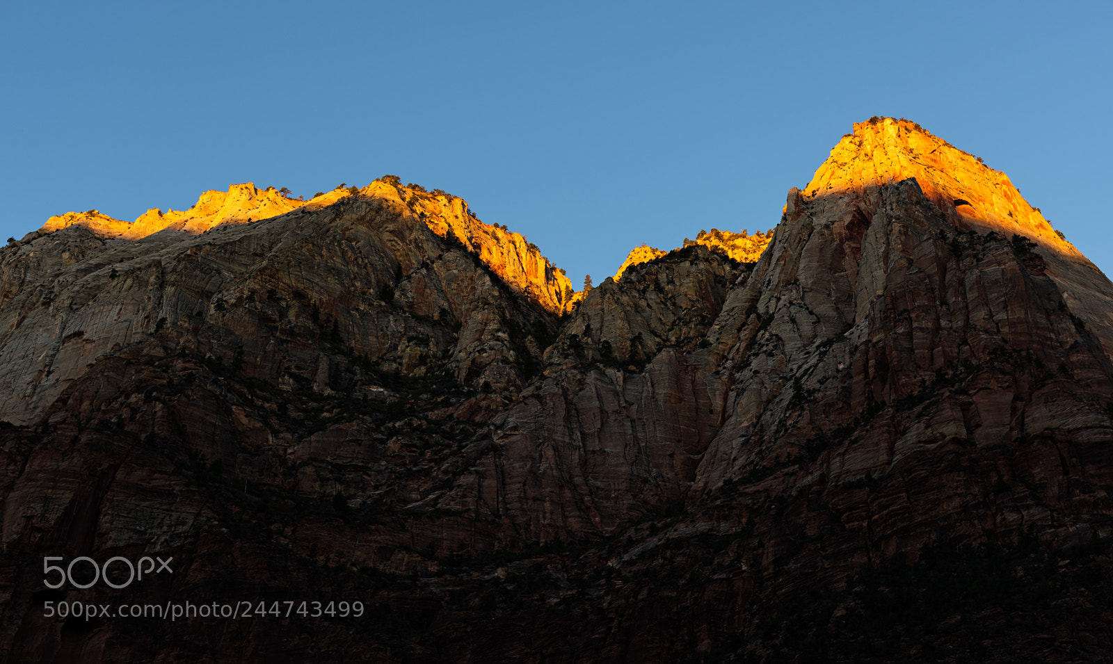 Nikon D810 sample photo. Zion national park photography