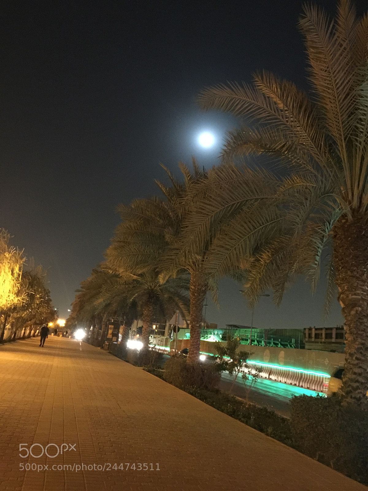 Apple iPhone 6 Plus sample photo. Untitled photography