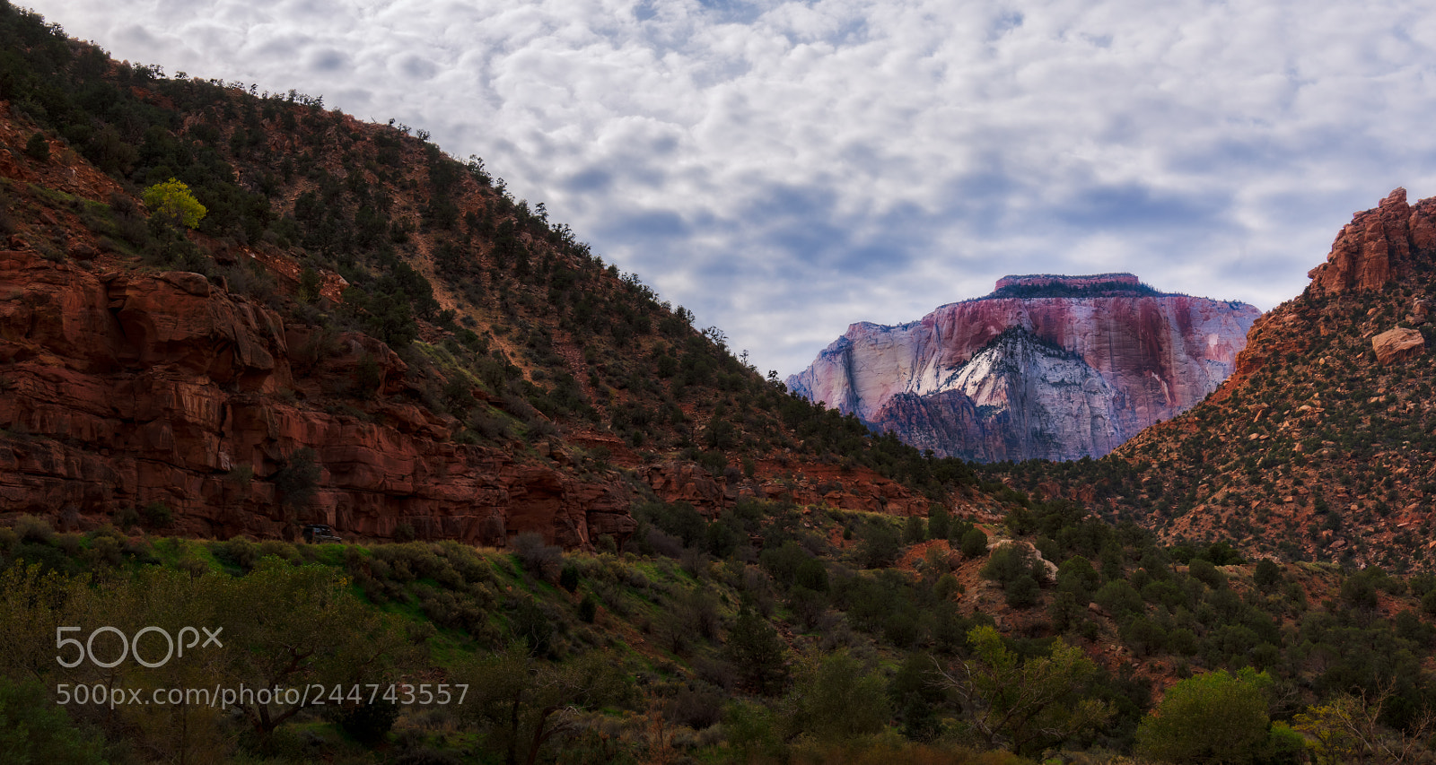 Nikon D810 sample photo. Zion national park photography
