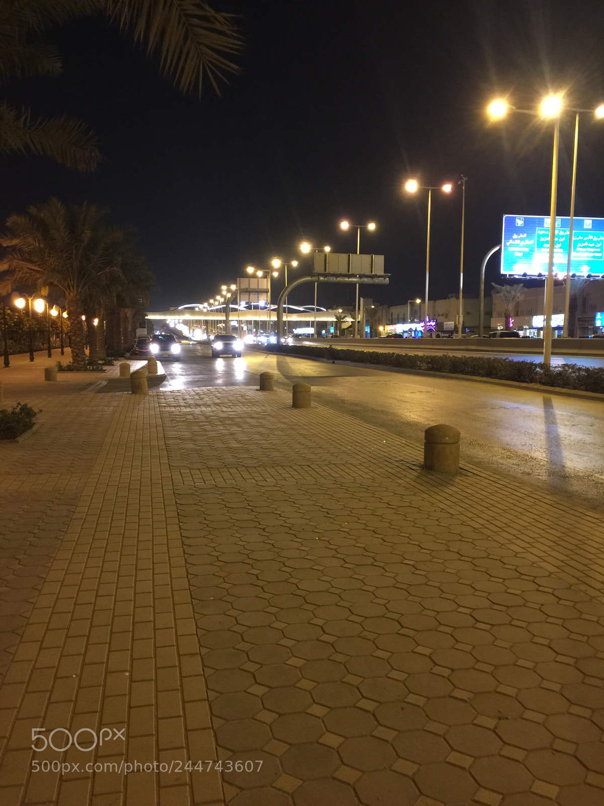 Apple iPhone 6 Plus sample photo. Untitled photography