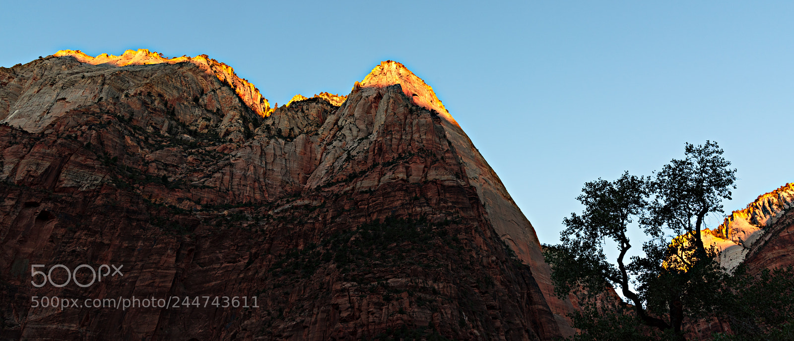 Nikon D810 sample photo. Zion national park photography