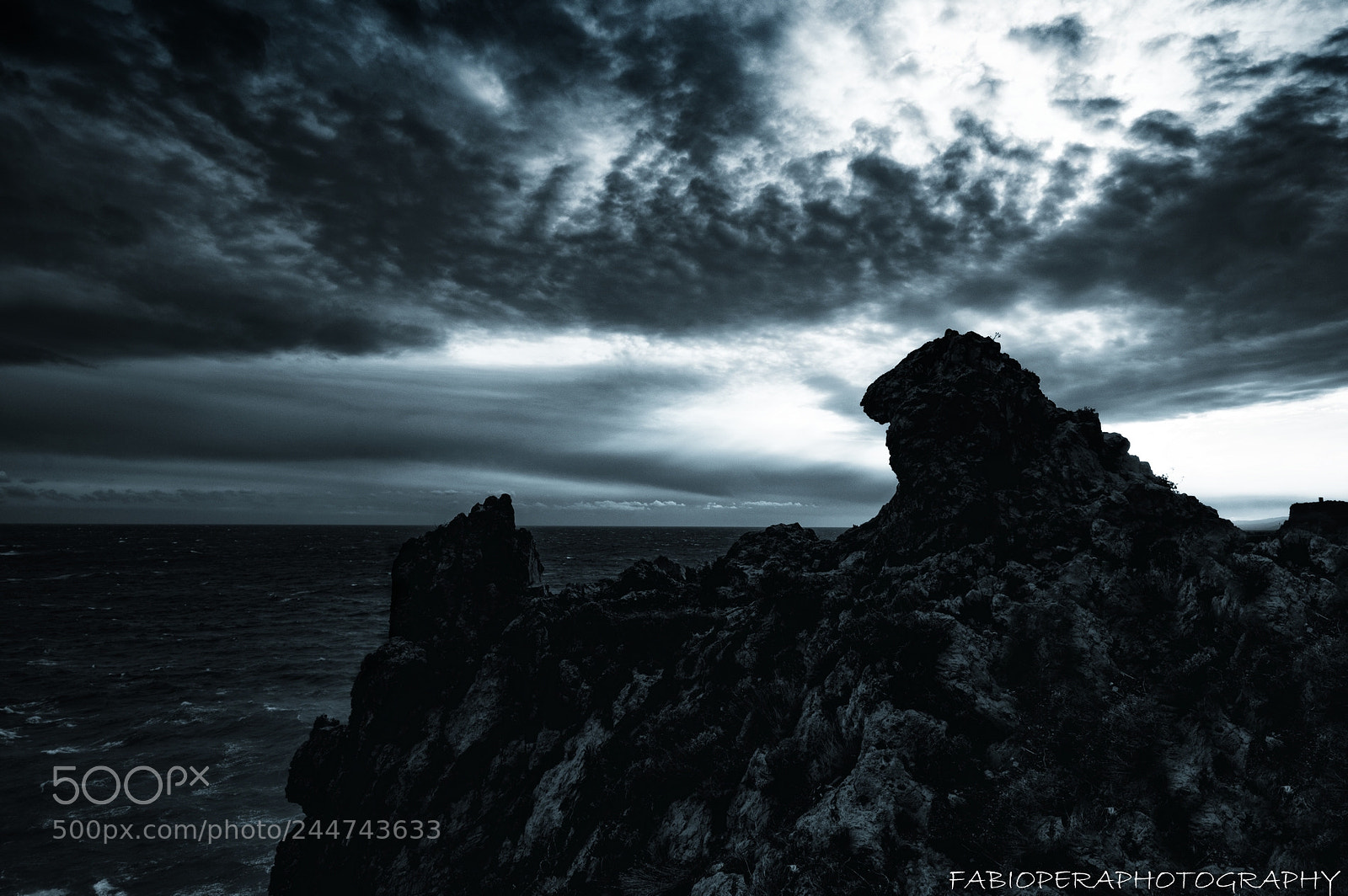 Pentax K-3 II sample photo. Il leone di capo photography