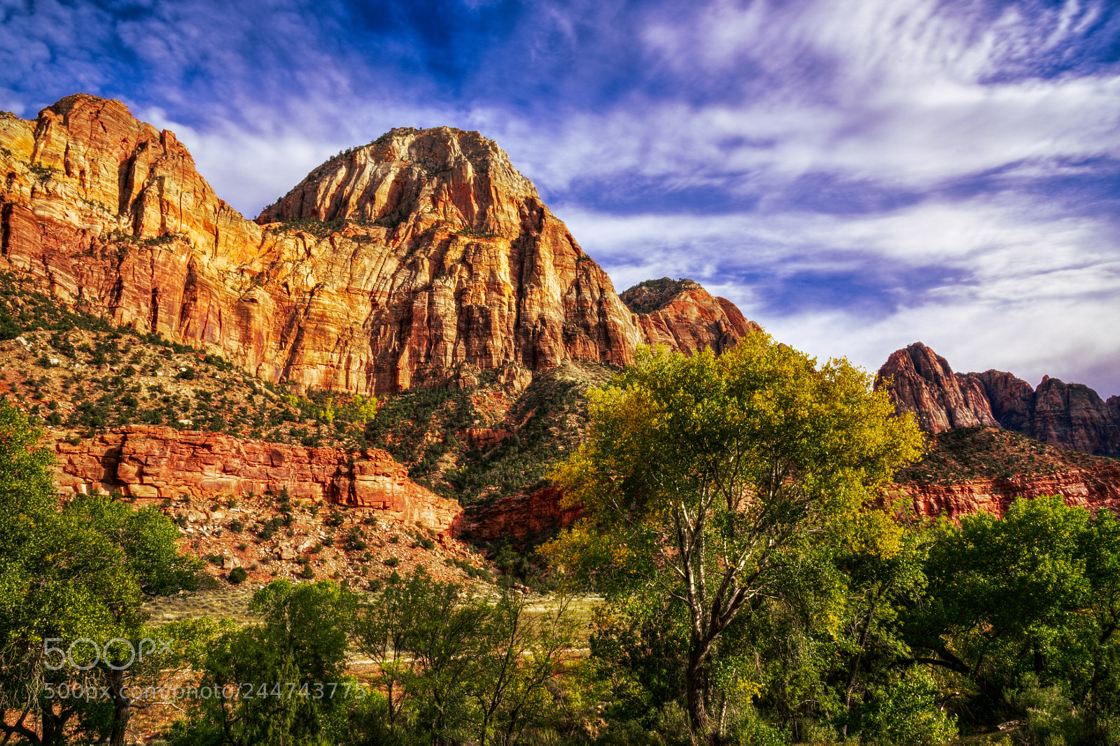Nikon D810 sample photo. Zion national park photography