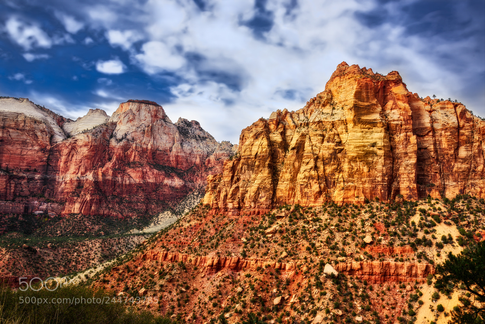 Nikon D810 sample photo. Zion national park photography