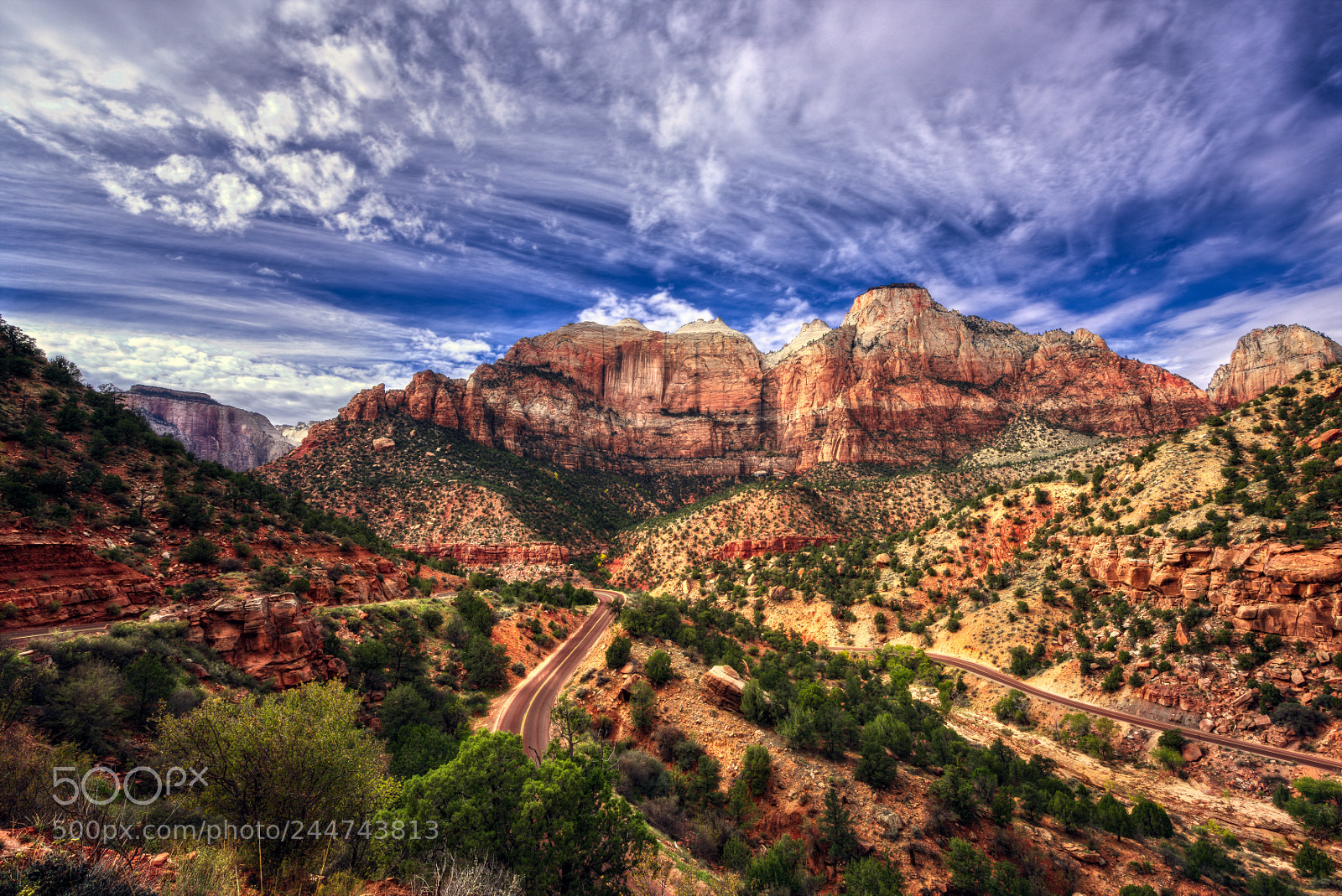 Nikon D810 sample photo. Zion national park photography