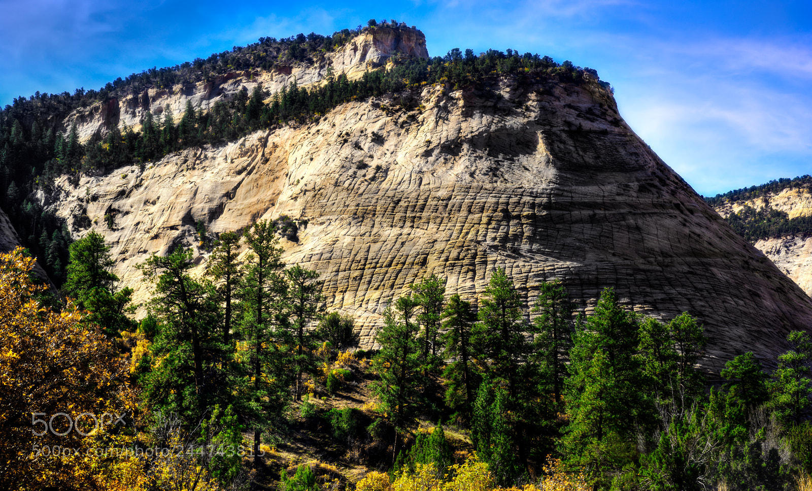 Nikon D810 sample photo. Zion national park photography