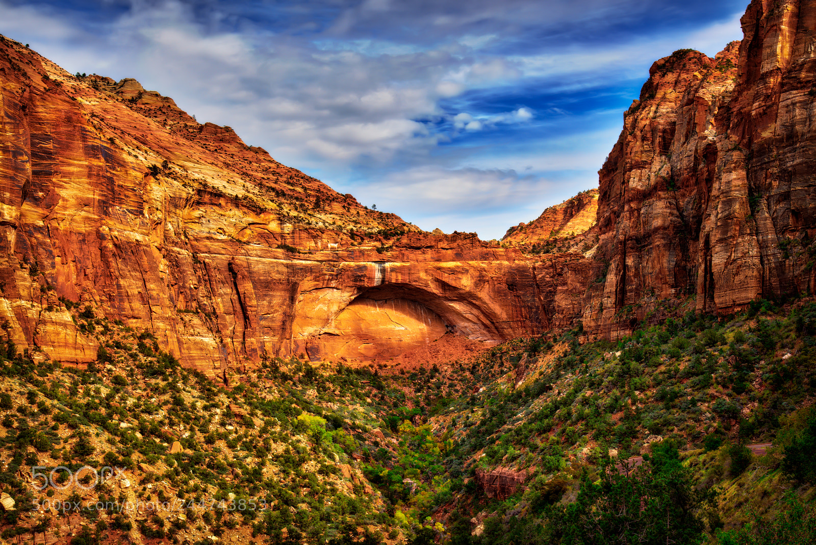 Nikon D810 sample photo. Zion national park photography