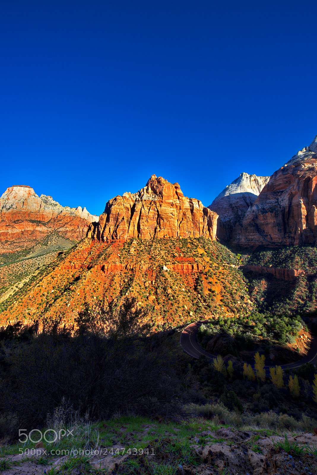 Nikon D810 sample photo. Zion national park photography