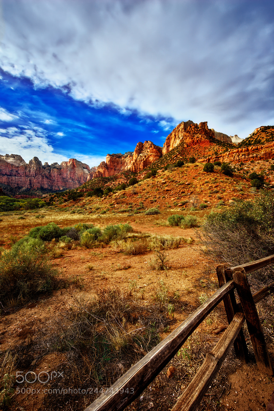 Nikon D810 sample photo. Zion national park photography