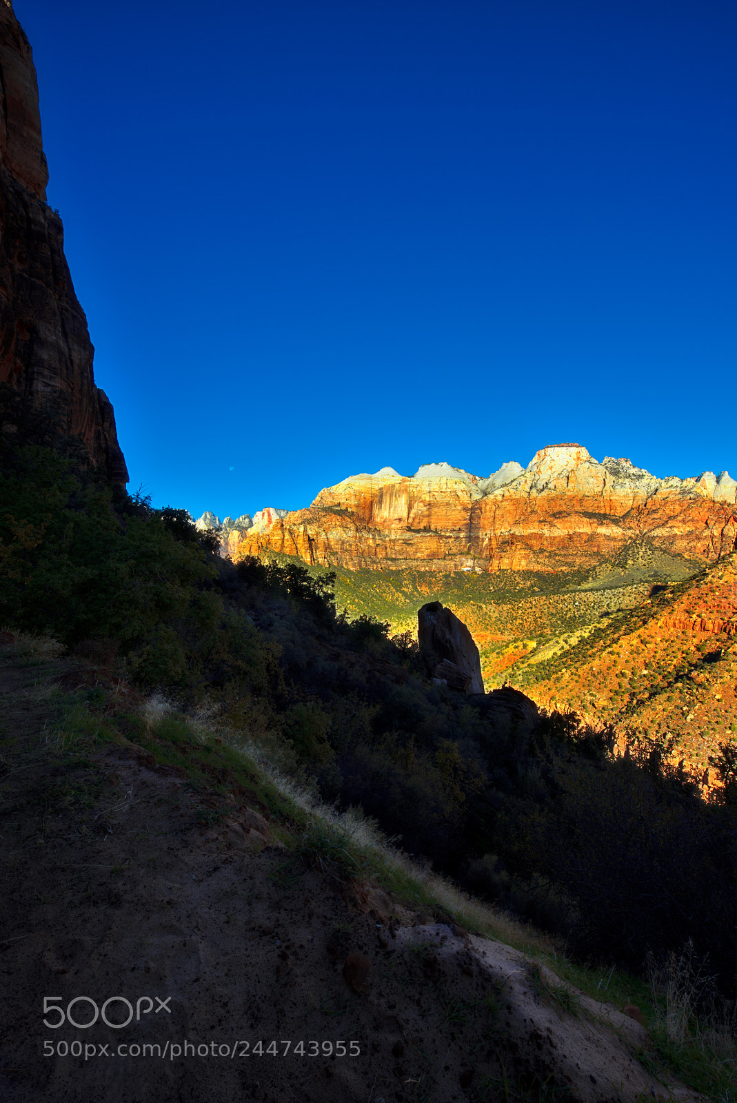 Nikon D810 sample photo. Zion national park photography