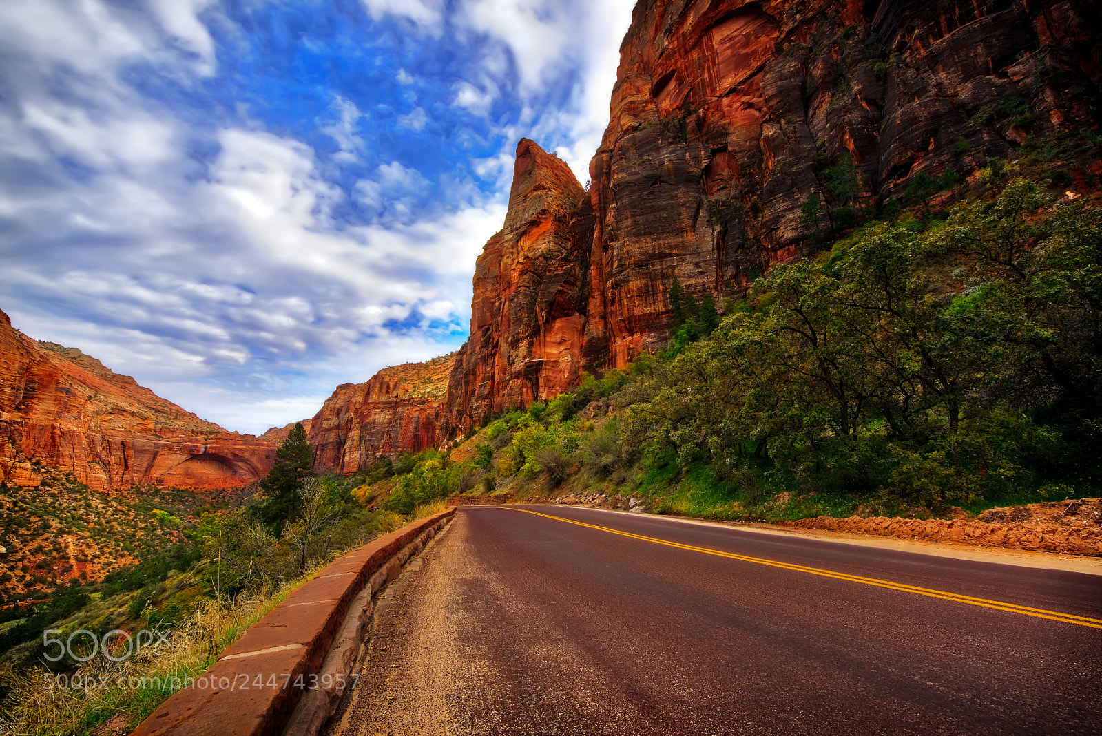 Nikon D810 sample photo. Zion national park photography