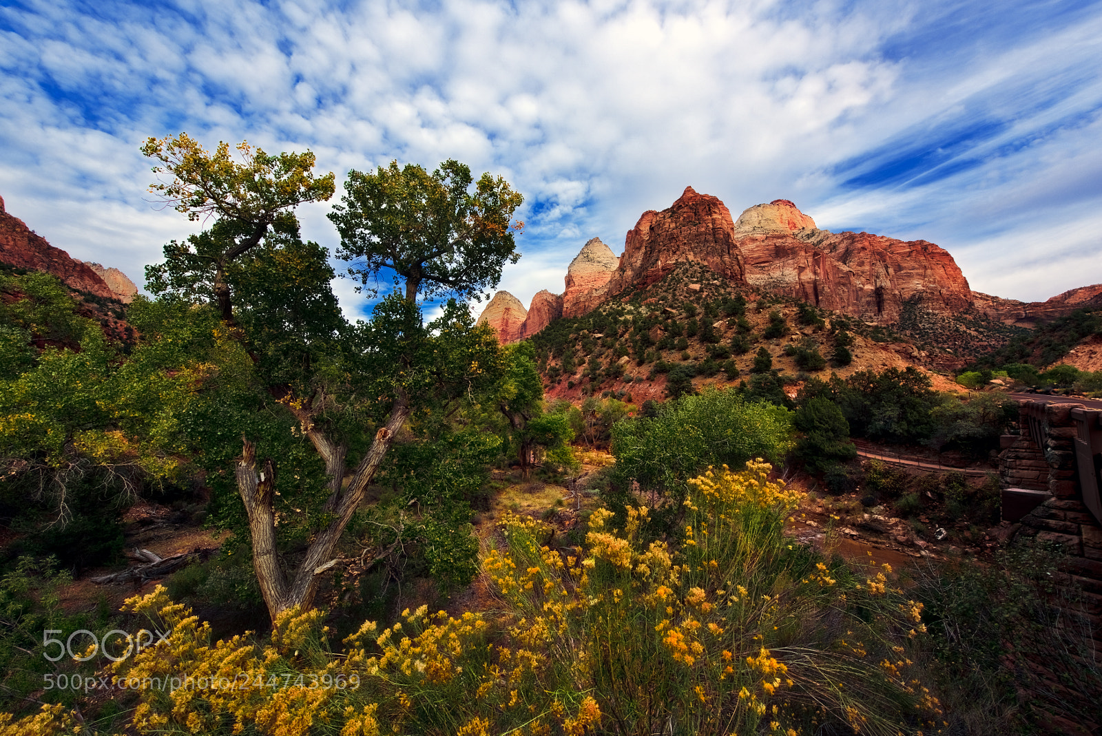 Nikon D810 sample photo. Zion national park photography
