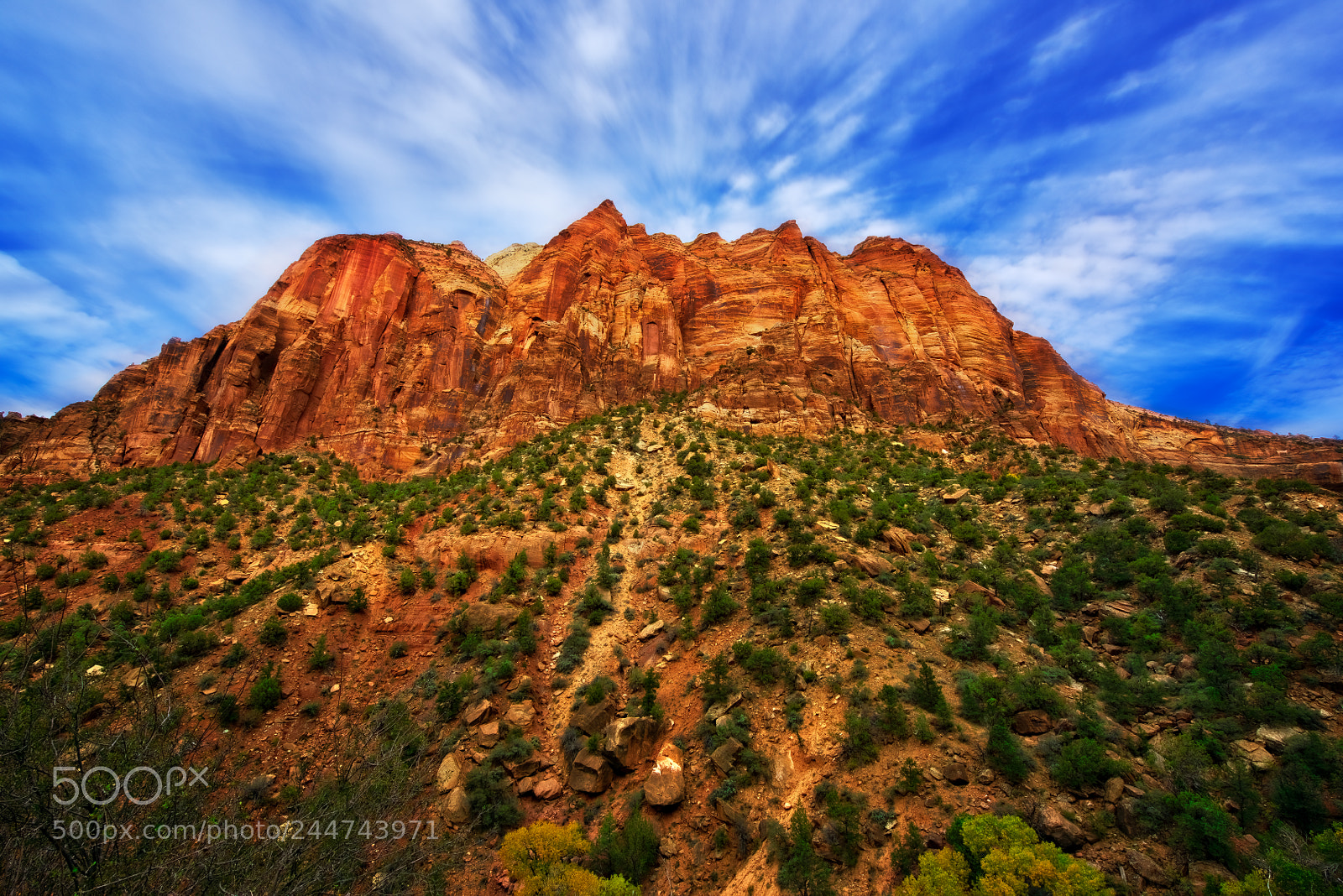 Nikon D810 sample photo. Zion national park photography