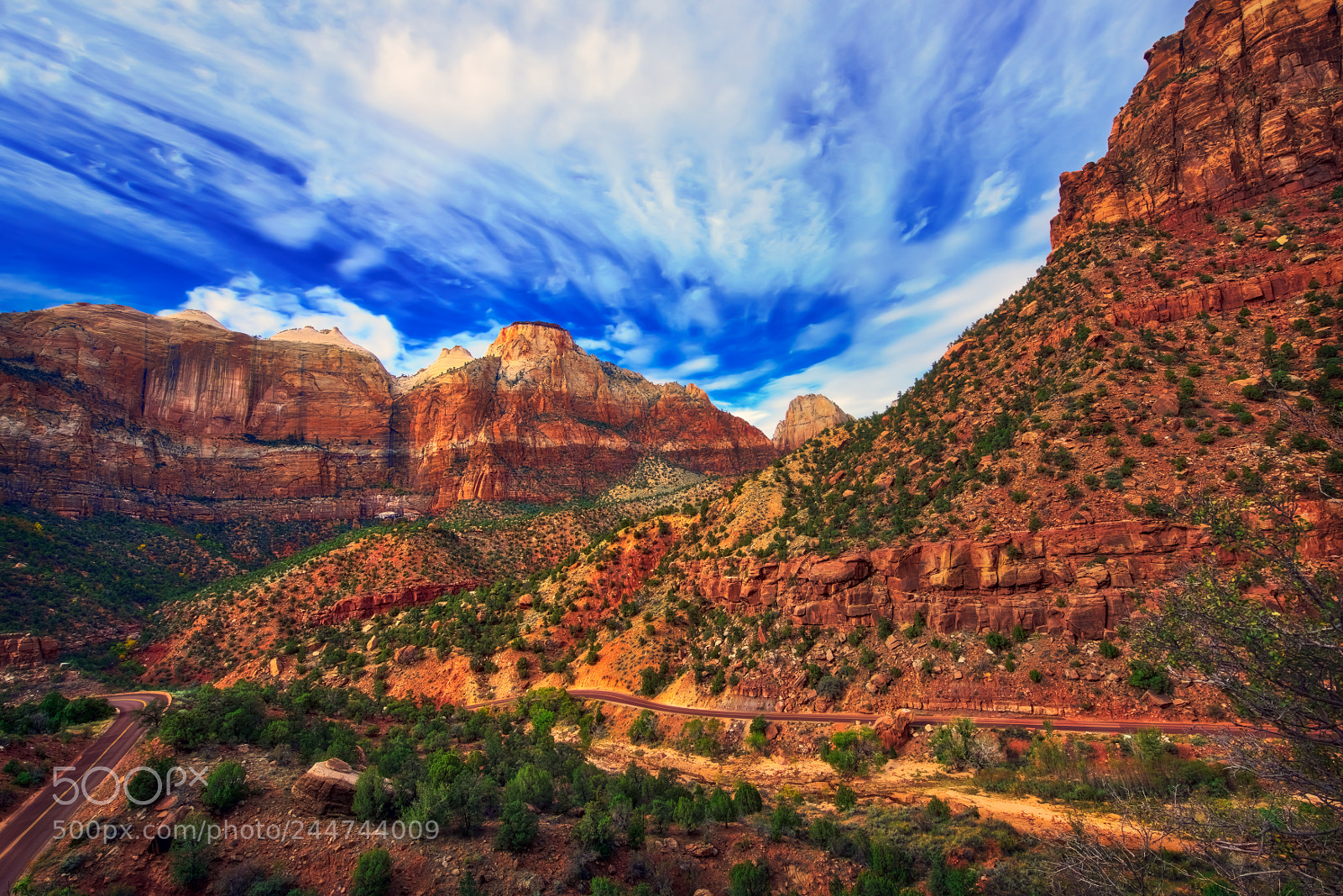 Nikon D810 sample photo. Zion national park photography