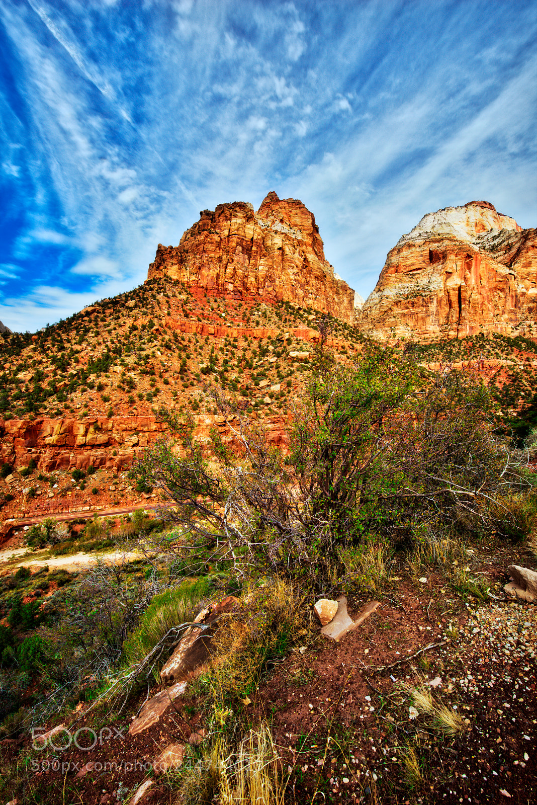 Nikon D810 sample photo. Zion national park photography
