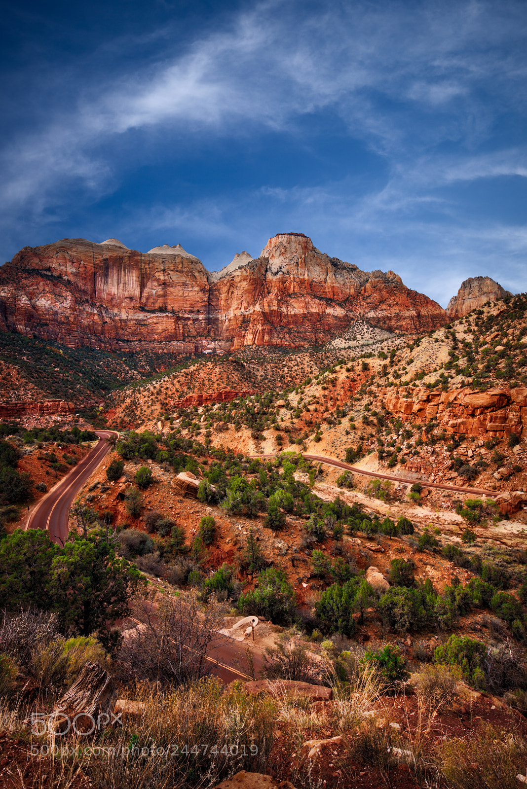 Nikon D810 sample photo. Zion national park photography
