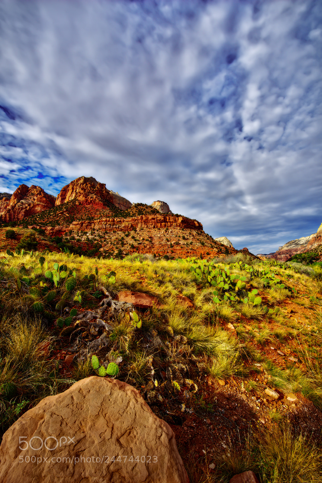 Nikon D810 sample photo. Zion national park photography