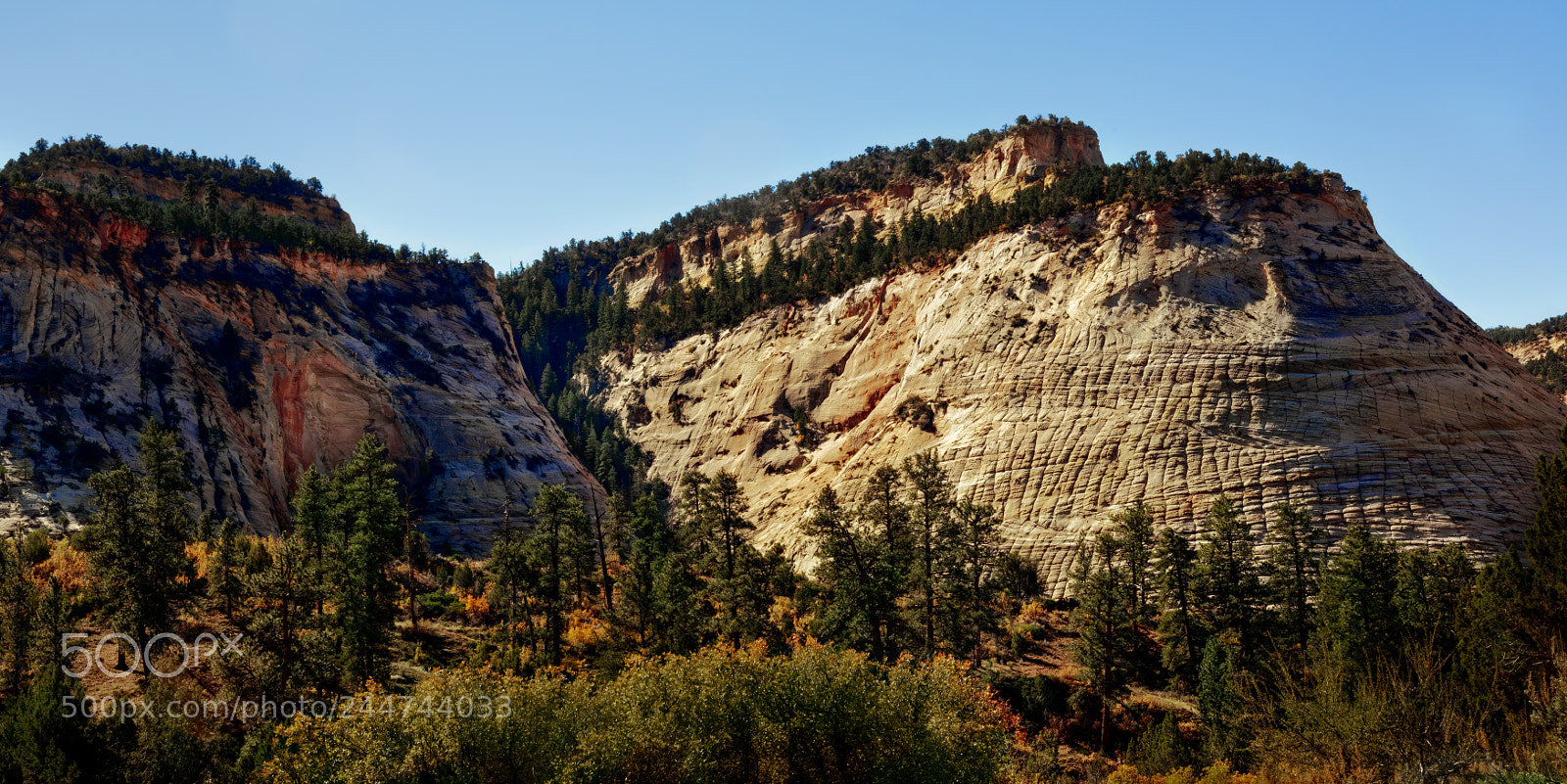 Nikon D810 sample photo. Zion national park photography