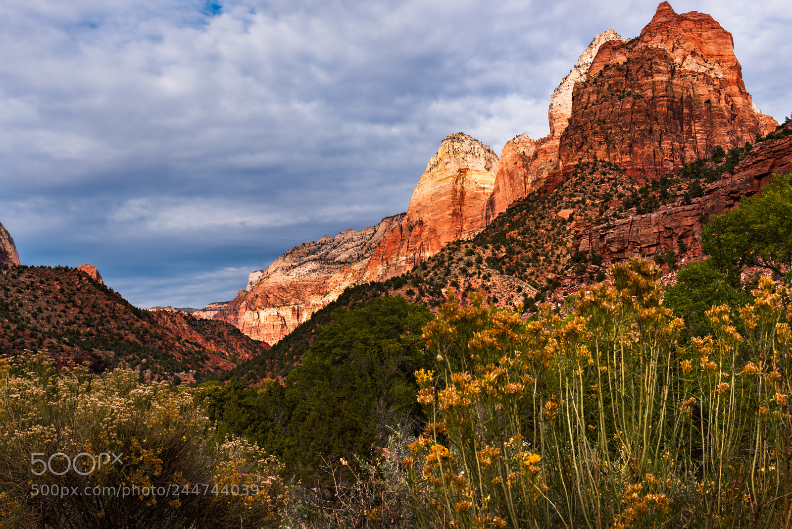Nikon D810 sample photo. Zion national park photography