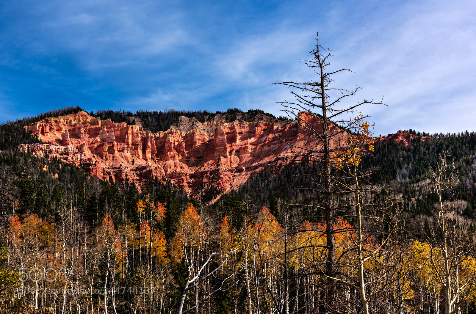 Nikon D810 sample photo. Zion national park photography