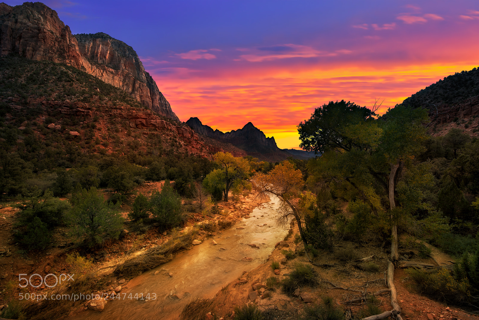Nikon D810 sample photo. Zion national park photography