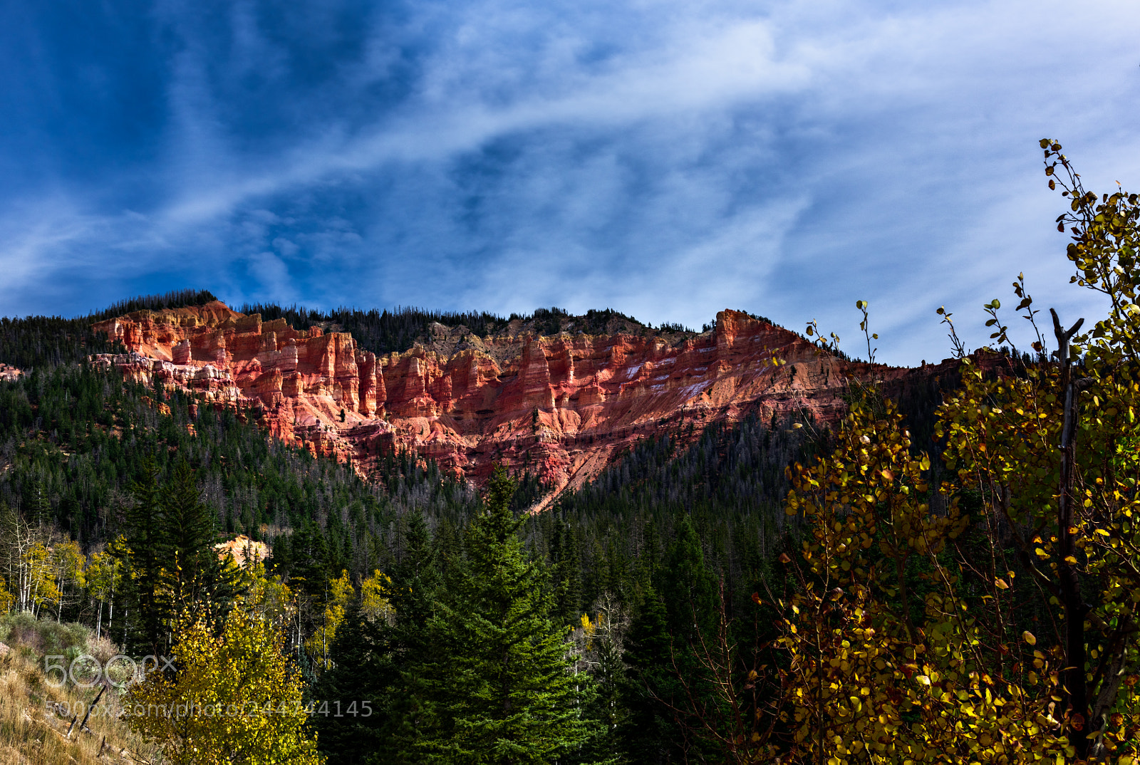 Nikon D810 sample photo. Zion national park photography