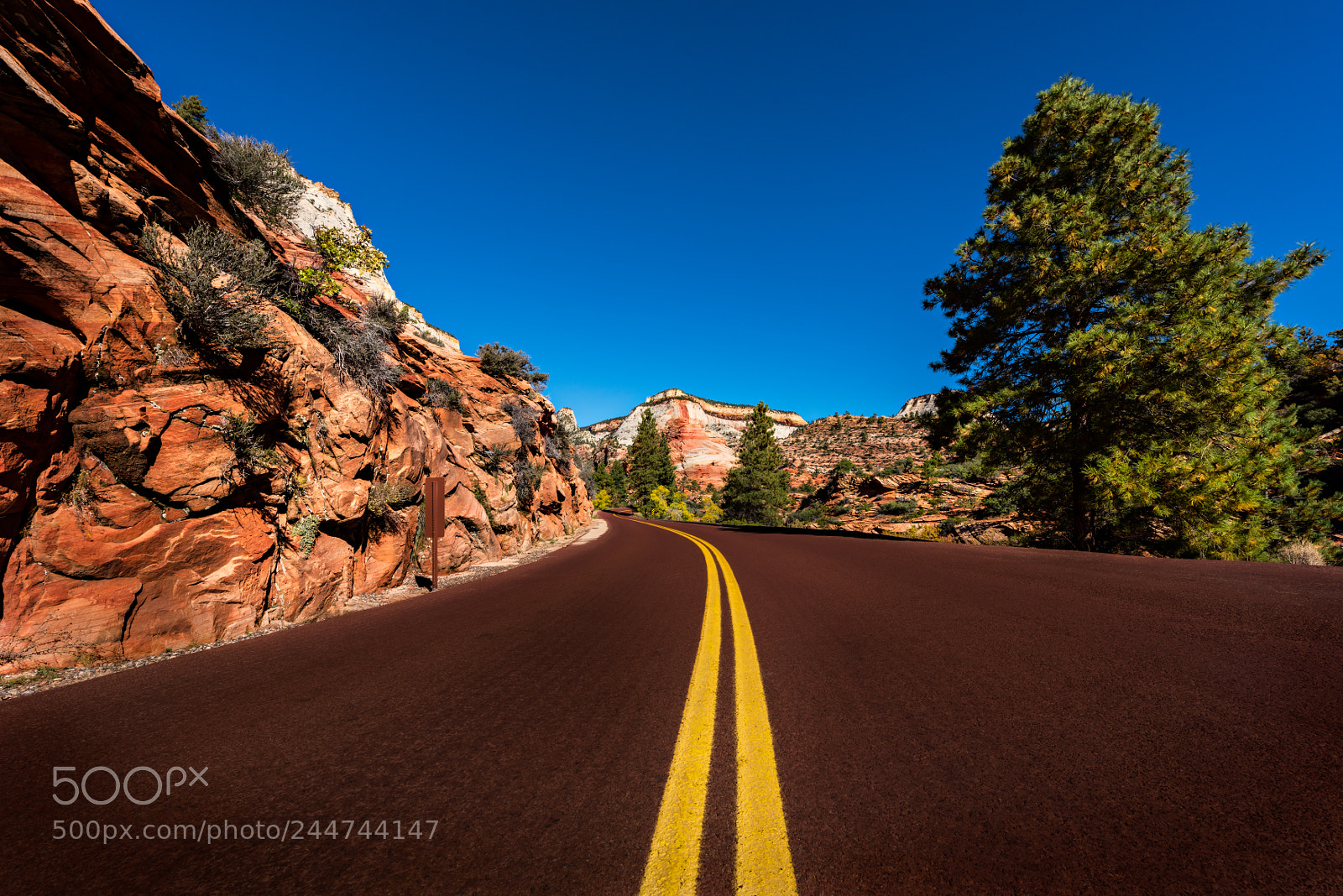 Nikon D810 sample photo. Zion national park photography