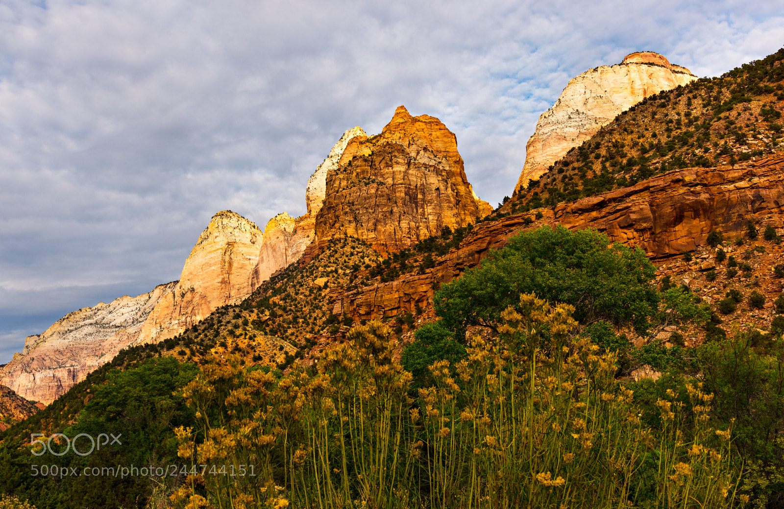 Nikon D810 sample photo. Zion national park photography