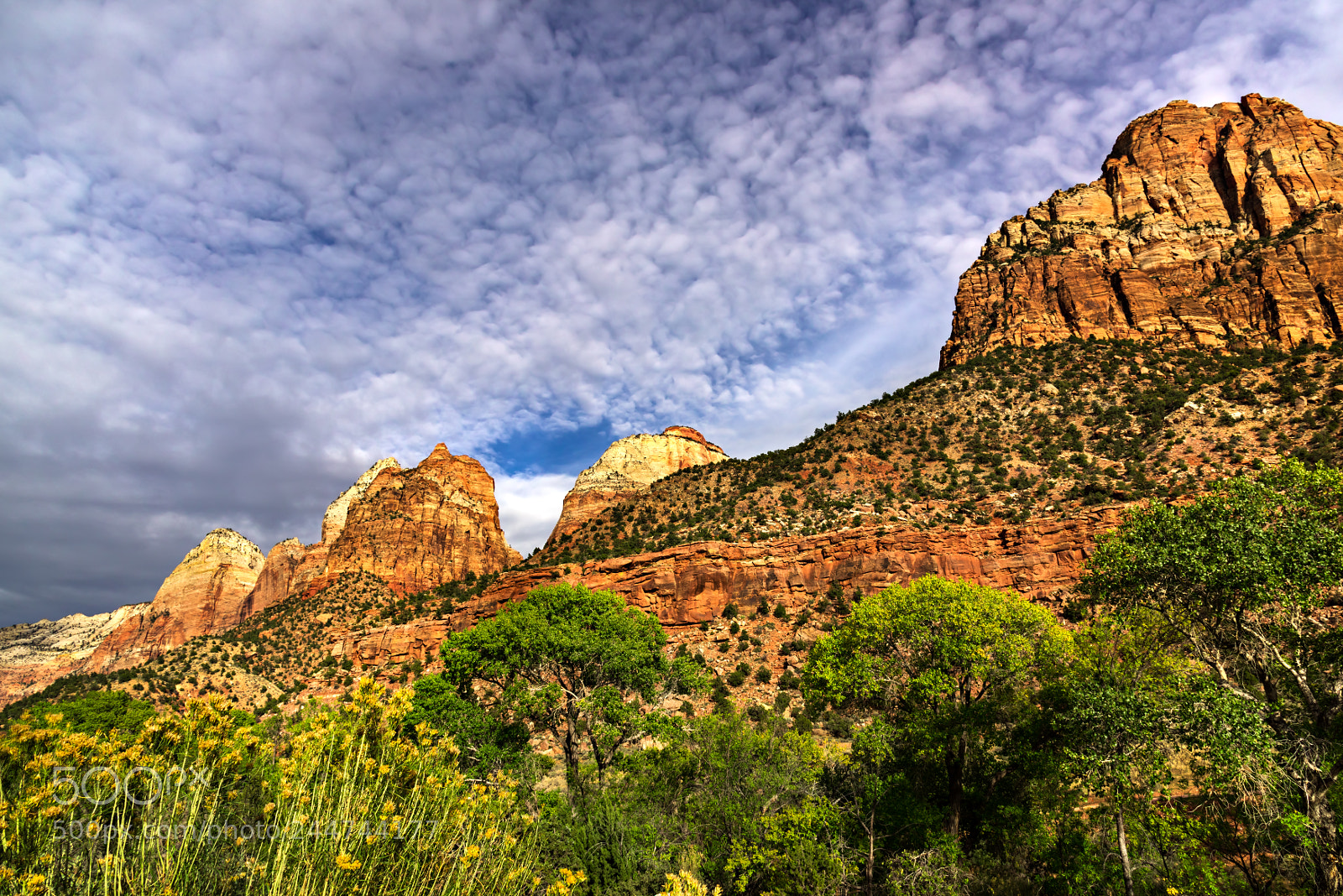 Nikon D810 sample photo. Zion national park photography