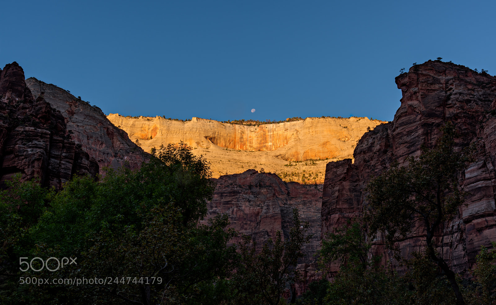 Nikon D810 sample photo. Zion national park photography