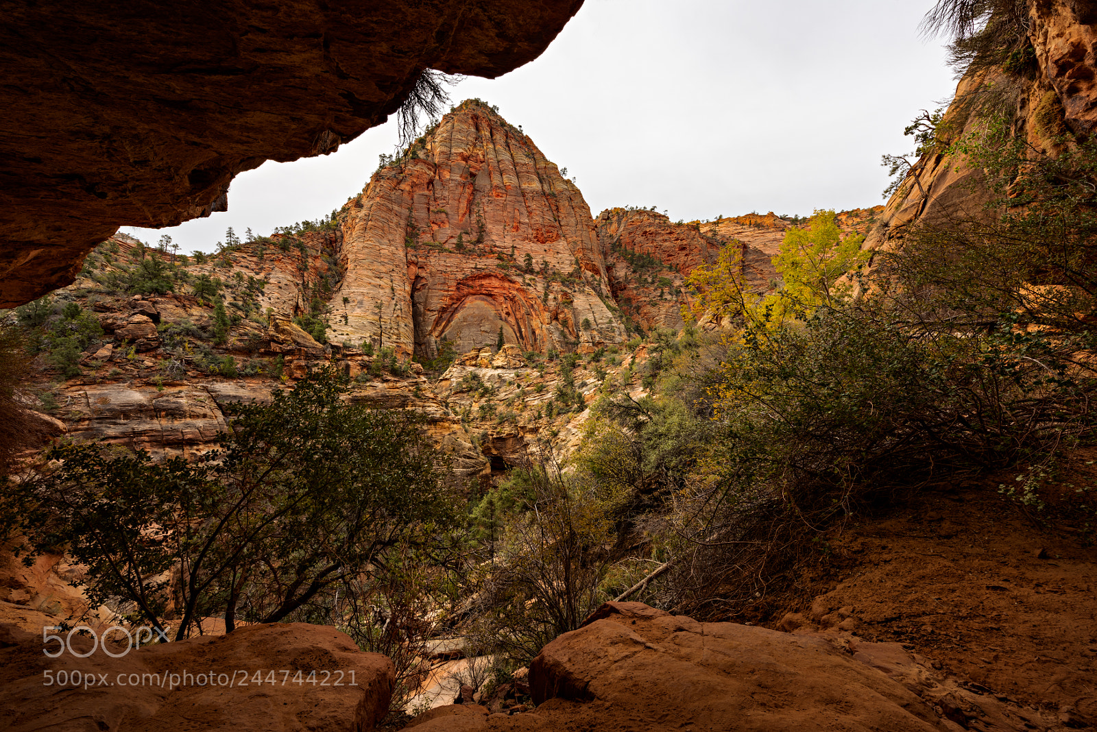 Nikon D810 sample photo. Zion national park photography