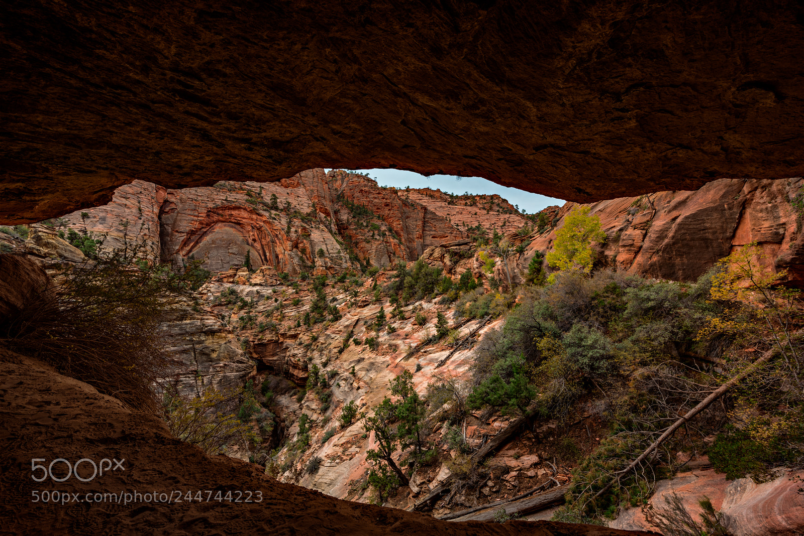Nikon D810 sample photo. Zion national park photography