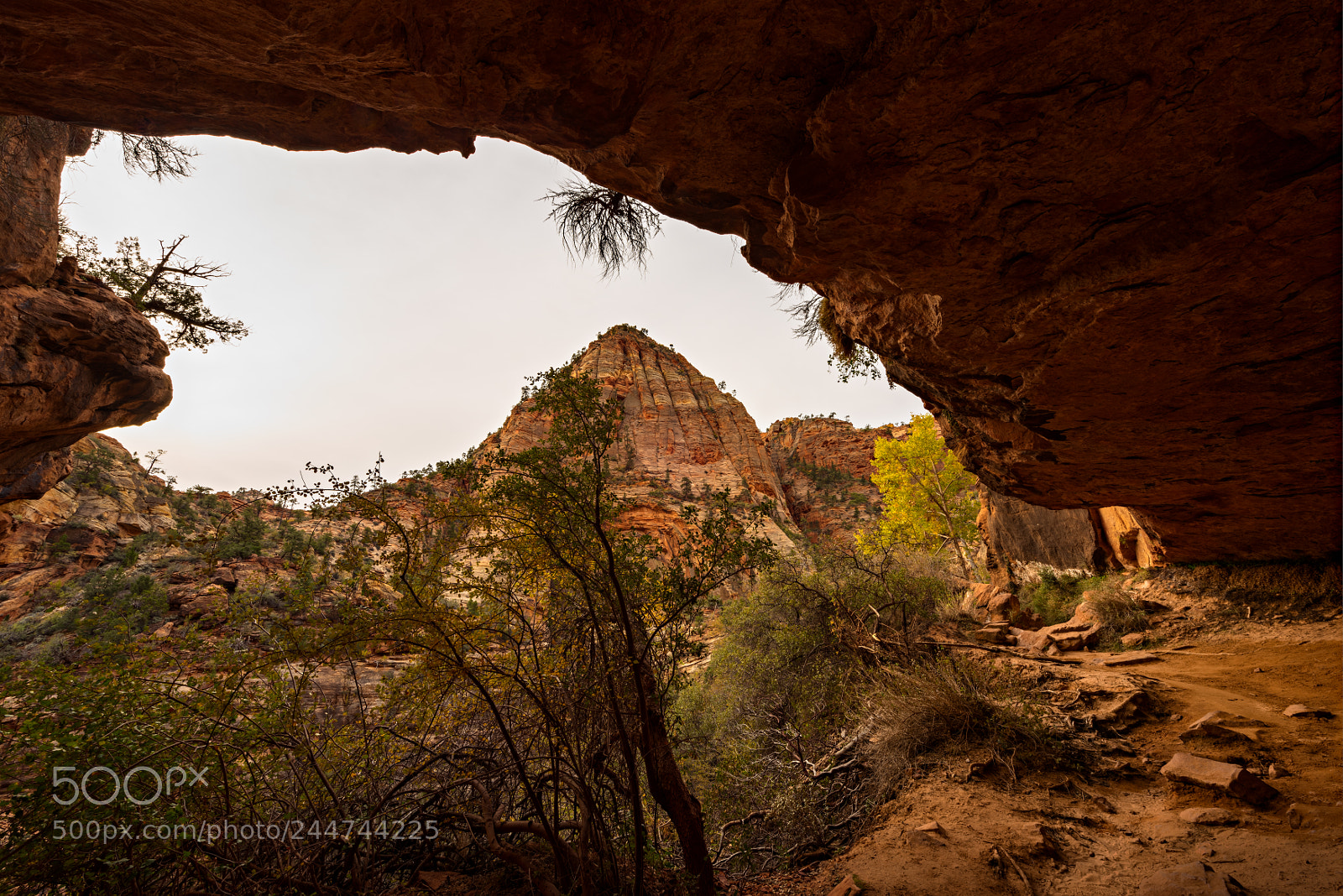 Nikon D810 sample photo. Zion national park photography