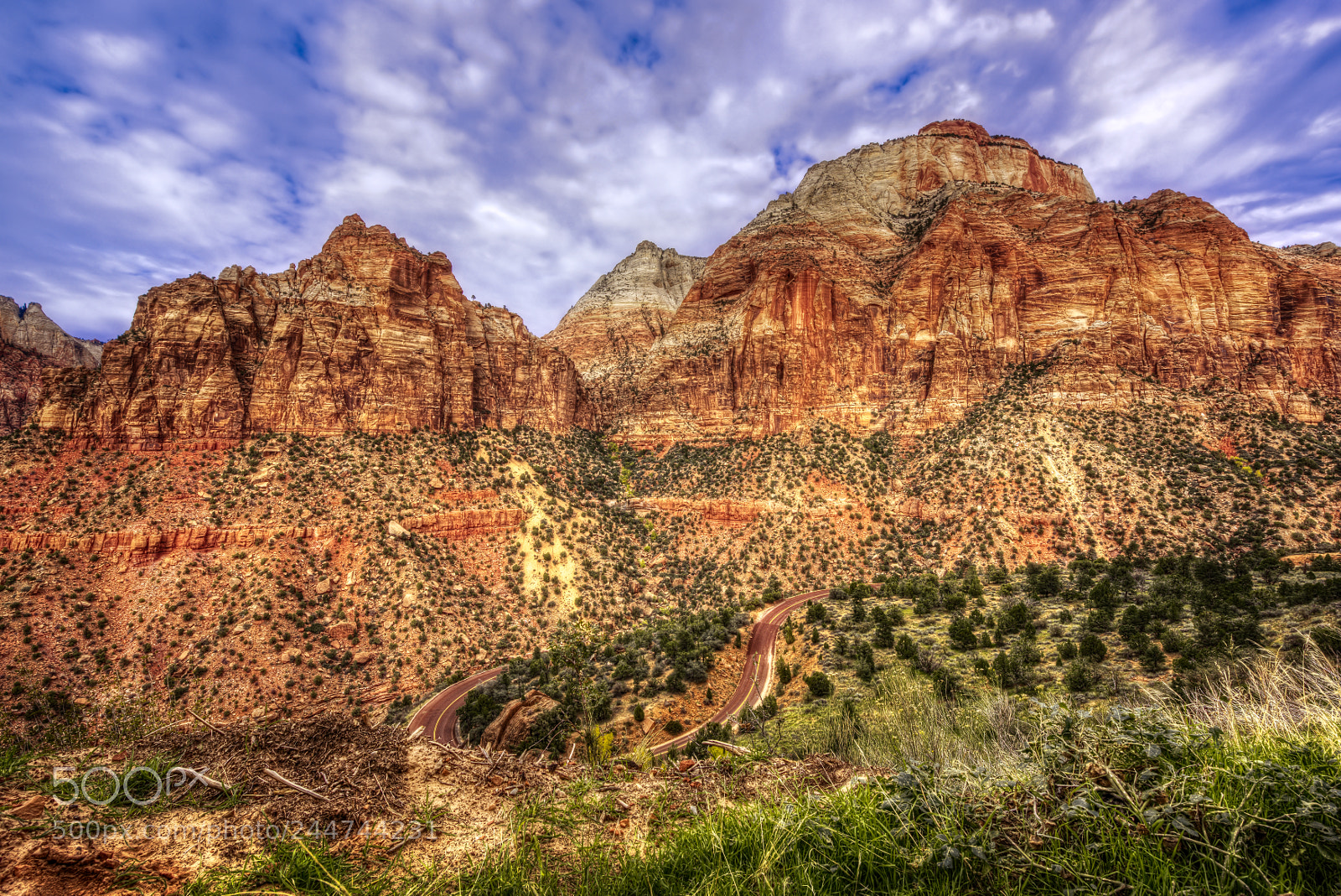 Nikon D810 sample photo. Zion national park photography